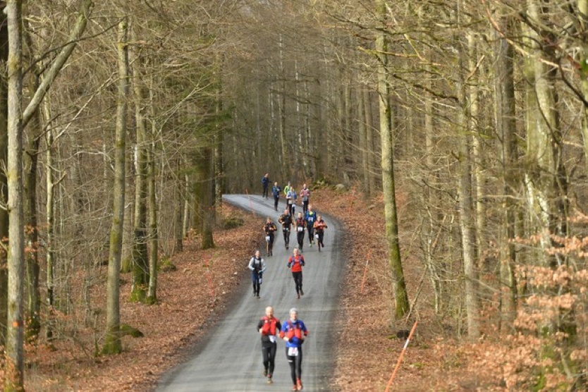 Runners descending on a gravel road
