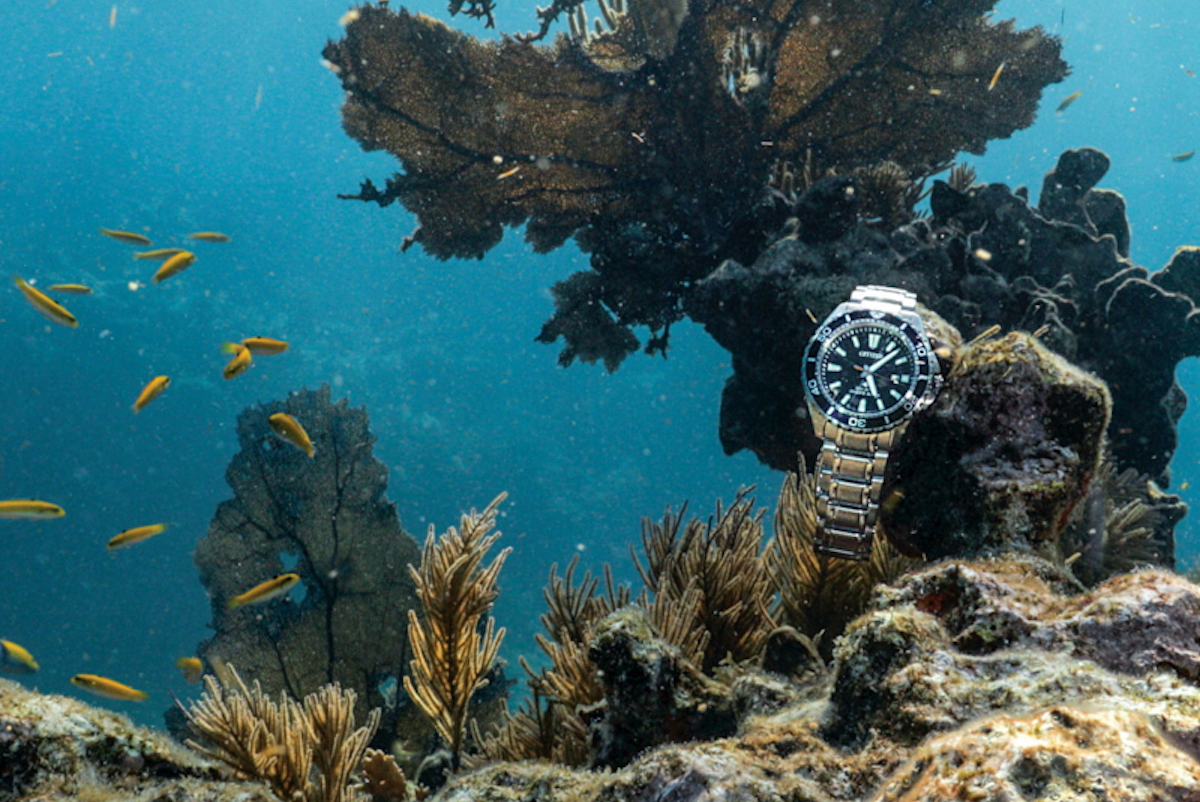 Citizen Promaster Dive Watch - on reef