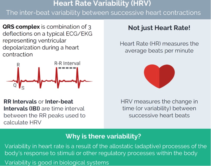 Race day heart rate variability (HRV)