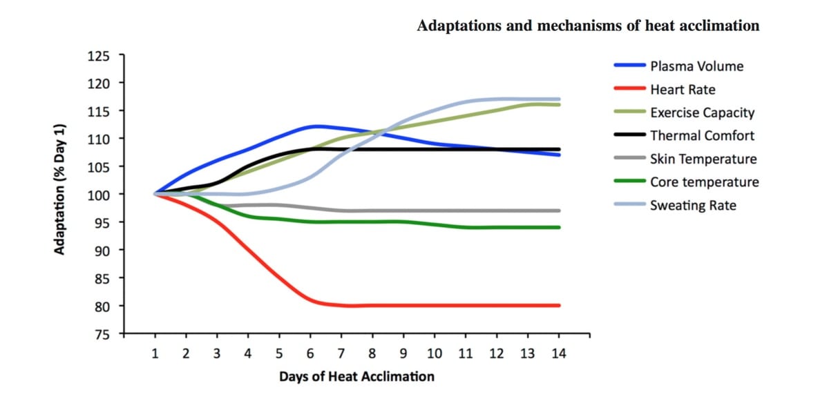 Heat adaptation, physiology