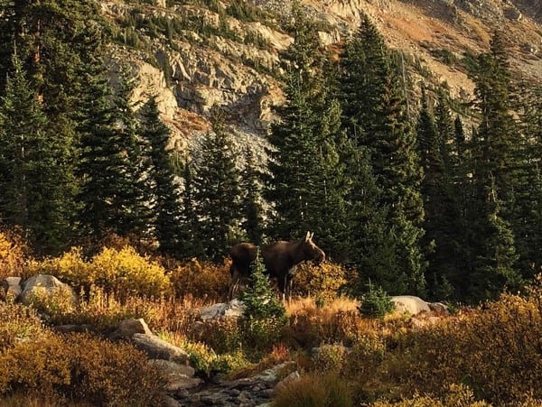 Indian Peak Classic 1