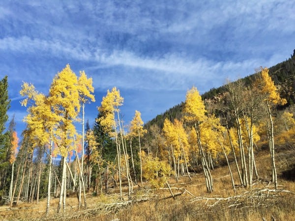 Indian Peak Classic 6