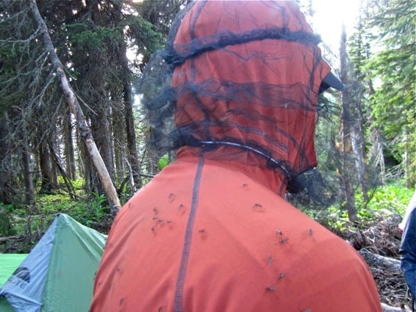 Gear chat: Gossamer Gear Sit Pads – Three Points of the Compass