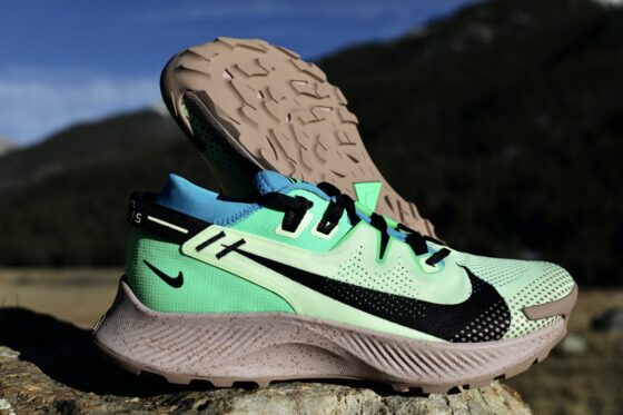 NIKE - NIKE W Pegasus Trail 3 GORE-TEX 23cmの+adsgestaomkt.com.br