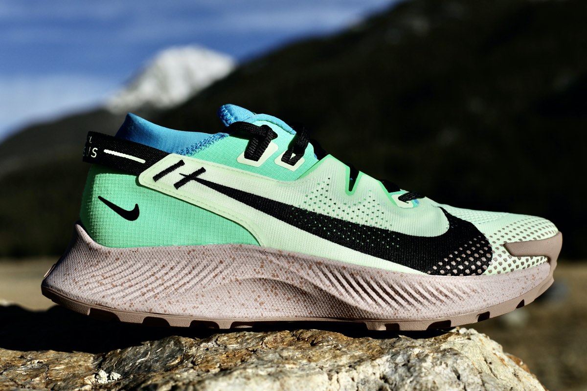 Nike Pegasus Trail 2 Standard and GORE-TEX Reviews | iRunFar