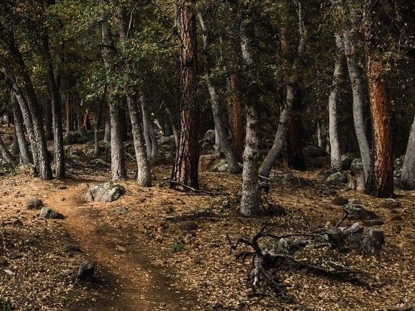 Road to Zane Grey 3
