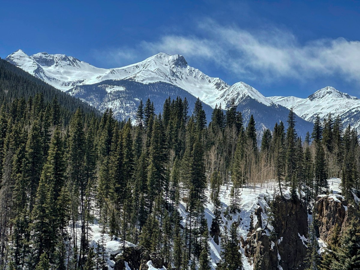 Silverton Colorado - Spring 2023 - Sultan Turk Bear