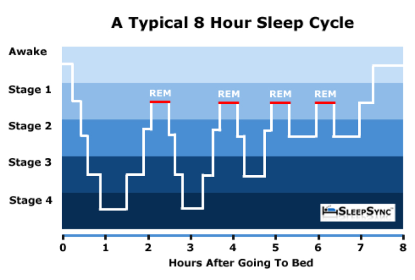 Catching Zzzs: The Science of Sleep – iRunFar.com