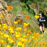 Spring Cleaning Sale