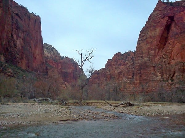 Zion National Park - Dakota Jones Zion National Park - Dakota Jones