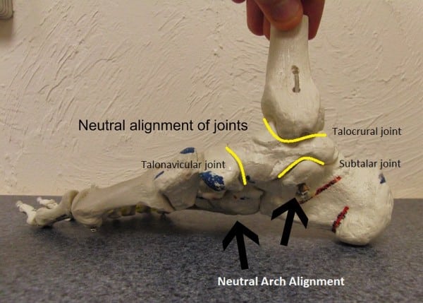 Neutral foot - side view